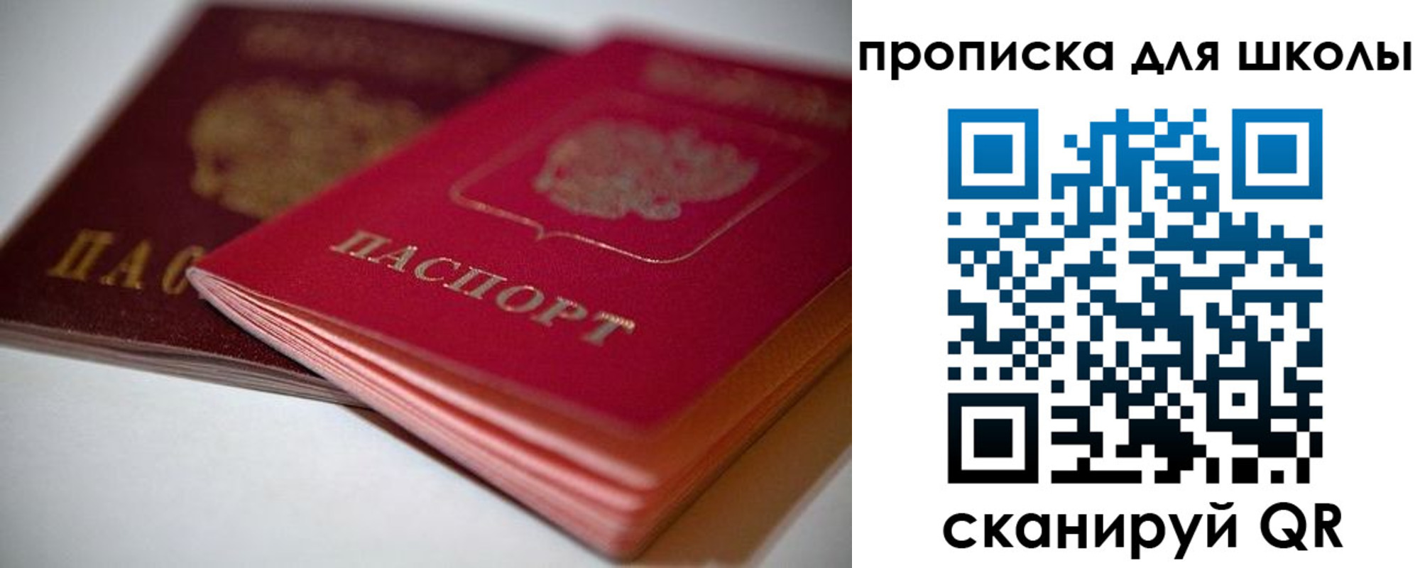прописка для школы в Боровичах